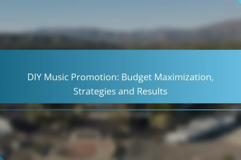 DIY Music Promotion: Budget Maximization, Strategies and Results