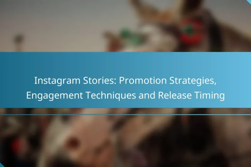 Instagram Stories: Promotion Strategies, Engagement Techniques and Release Timing