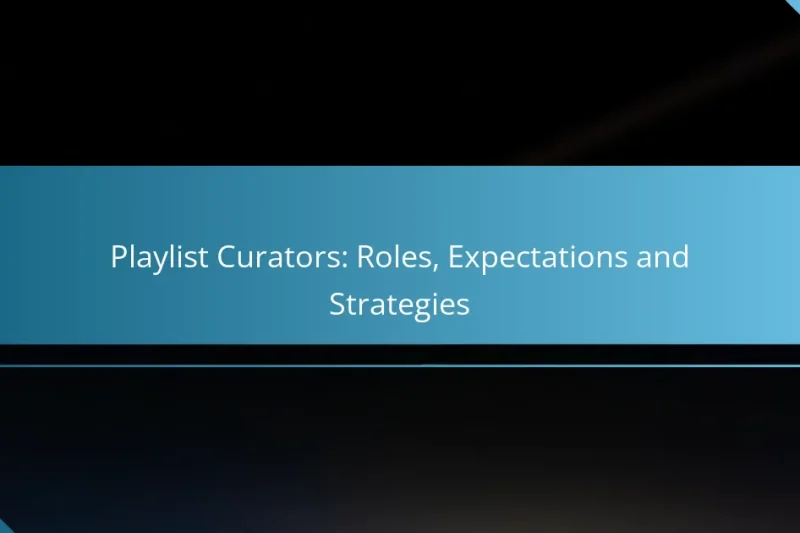 Playlist Curators: Roles, Expectations and Strategies