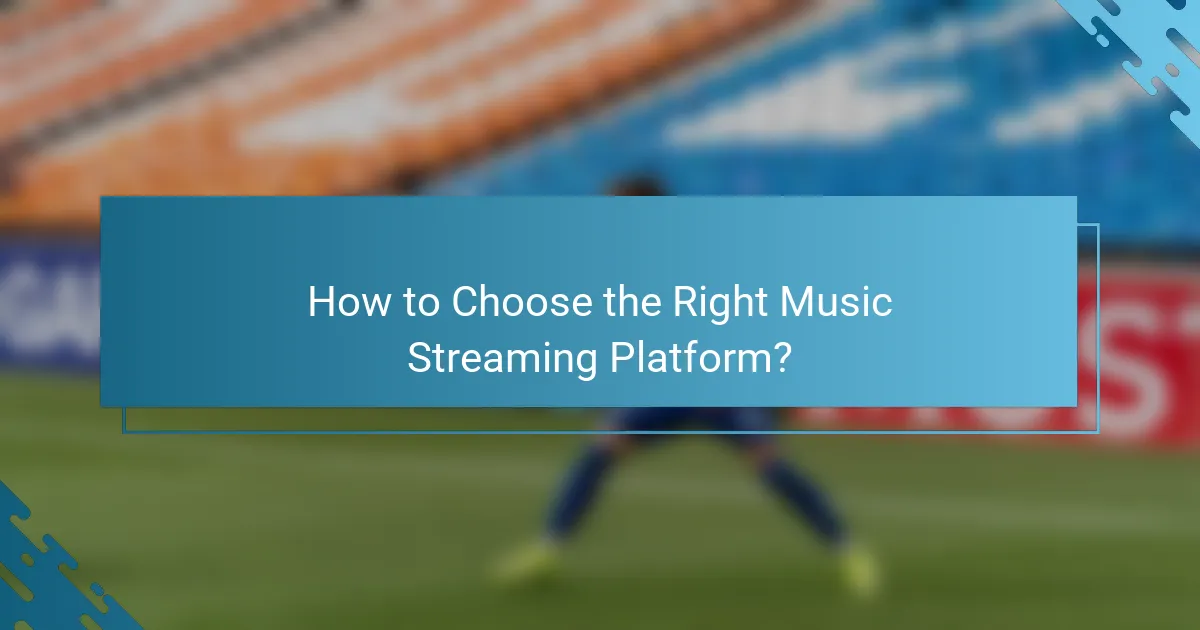 How to Choose the Right Music Streaming Platform?