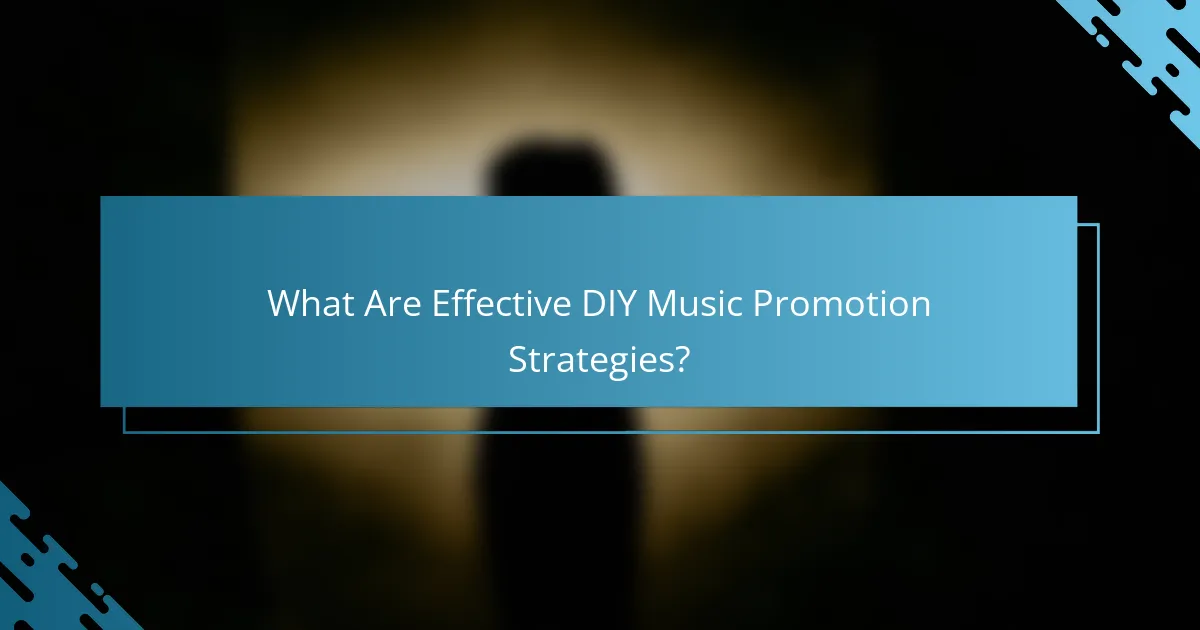 What Are Effective DIY Music Promotion Strategies?