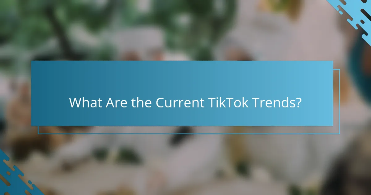 What Are the Current TikTok Trends?