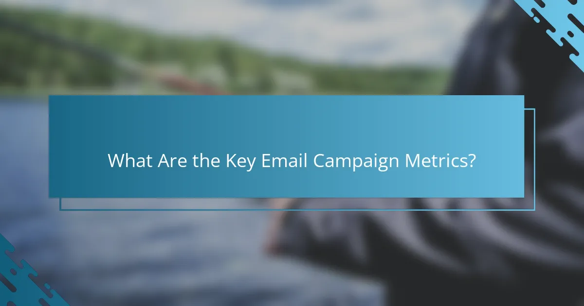 What Are the Key Email Campaign Metrics?