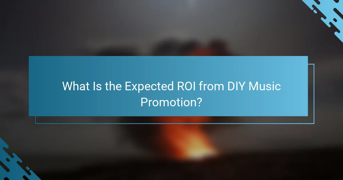 What Is the Expected ROI from DIY Music Promotion?
