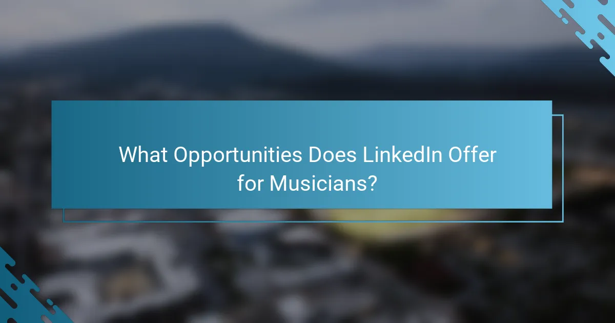 What Opportunities Does LinkedIn Offer for Musicians?